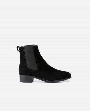 Black Flattered Lucile Suede Shoes Boots | NZIIZ52684