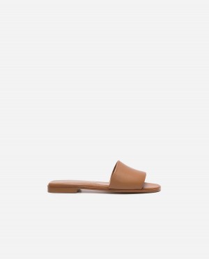 Brown Flattered Mouna Leather Shoes Sandals | NZDYB76998