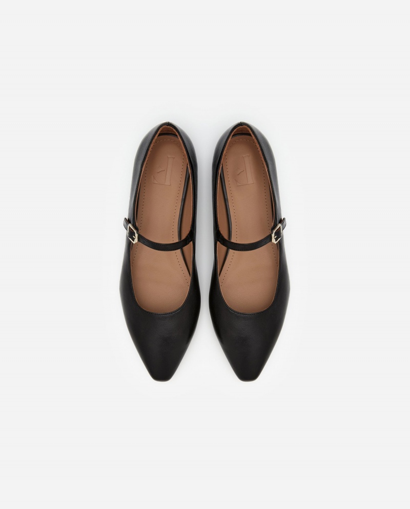 Black Flattered Camila Leather Shoes Ballet Flats | DNZVO47823