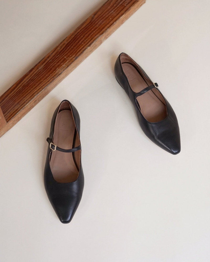 Black Flattered Camila Leather Shoes Ballet Flats | DNZVO47823