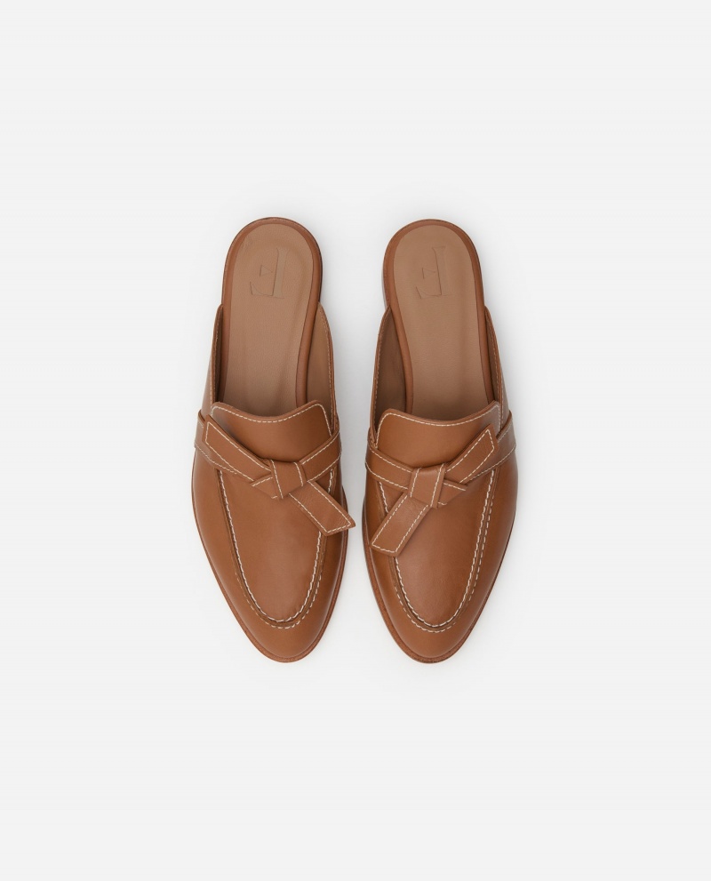 Brown Flattered Daisy Leather Shoes Ballet Flats | PNZER42972