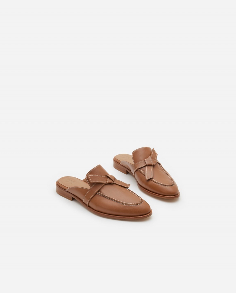 Brown Flattered Daisy Leather Shoes Ballet Flats | PNZER42972